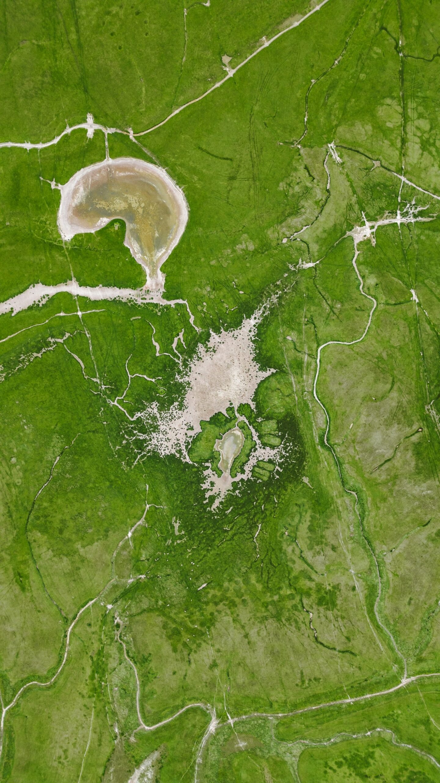Un vistazo a la riqueza de las bioregiones globales